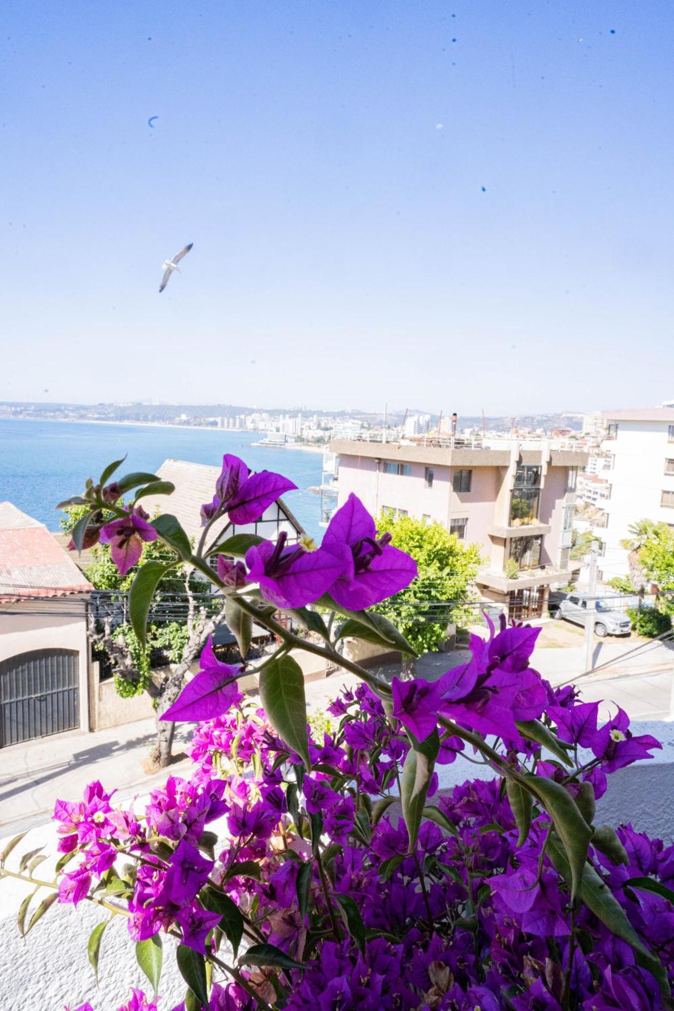 Hotel Vista Velero Vina del Mar Exterior photo